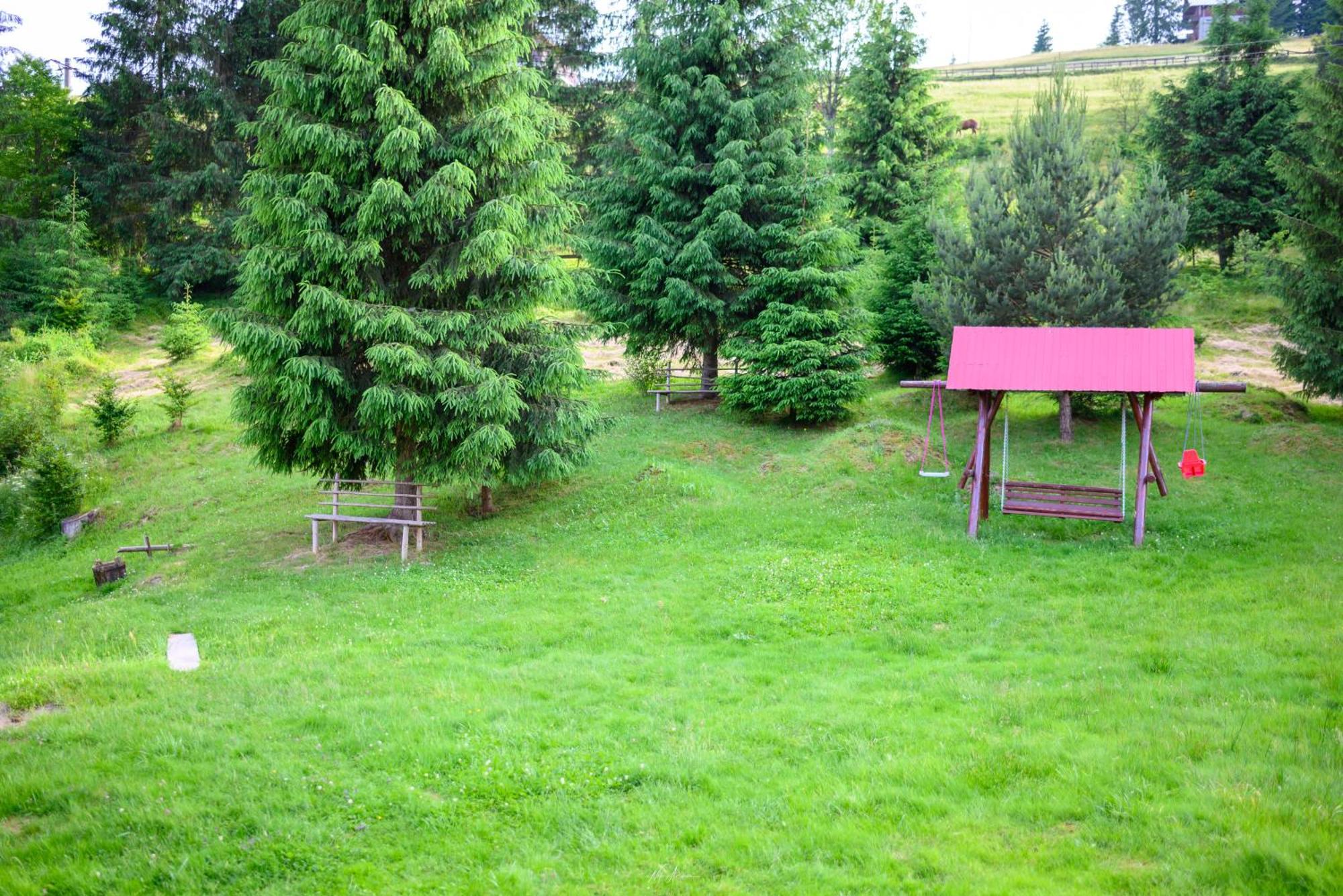 Casa Alina Villa Arieşeni Екстериор снимка